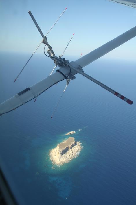 Aerial_radiotracking2_ Ben Metzger