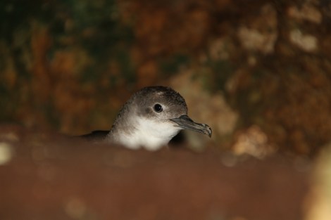 IMG_9113_ Ben Metzger