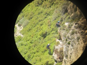 The team approaching the greenery of the cliffs