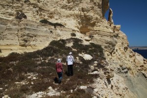 Two researchers of the project searching for gulls' nests