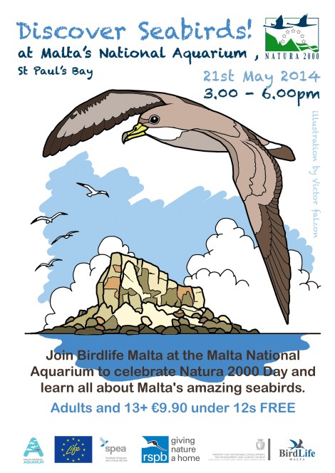 Discover seabirds! poster