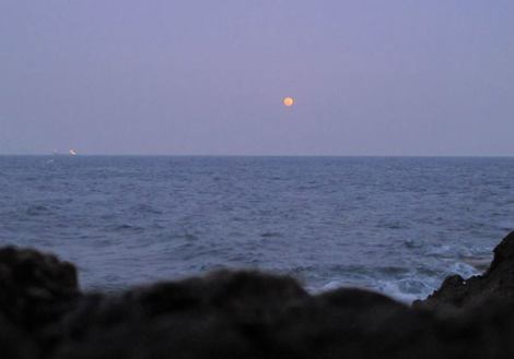 1964953_536971573083101_1391963765_n